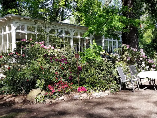 Rhododendronbüsche